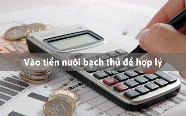 nuôi bạch thủ đề hiệu quả